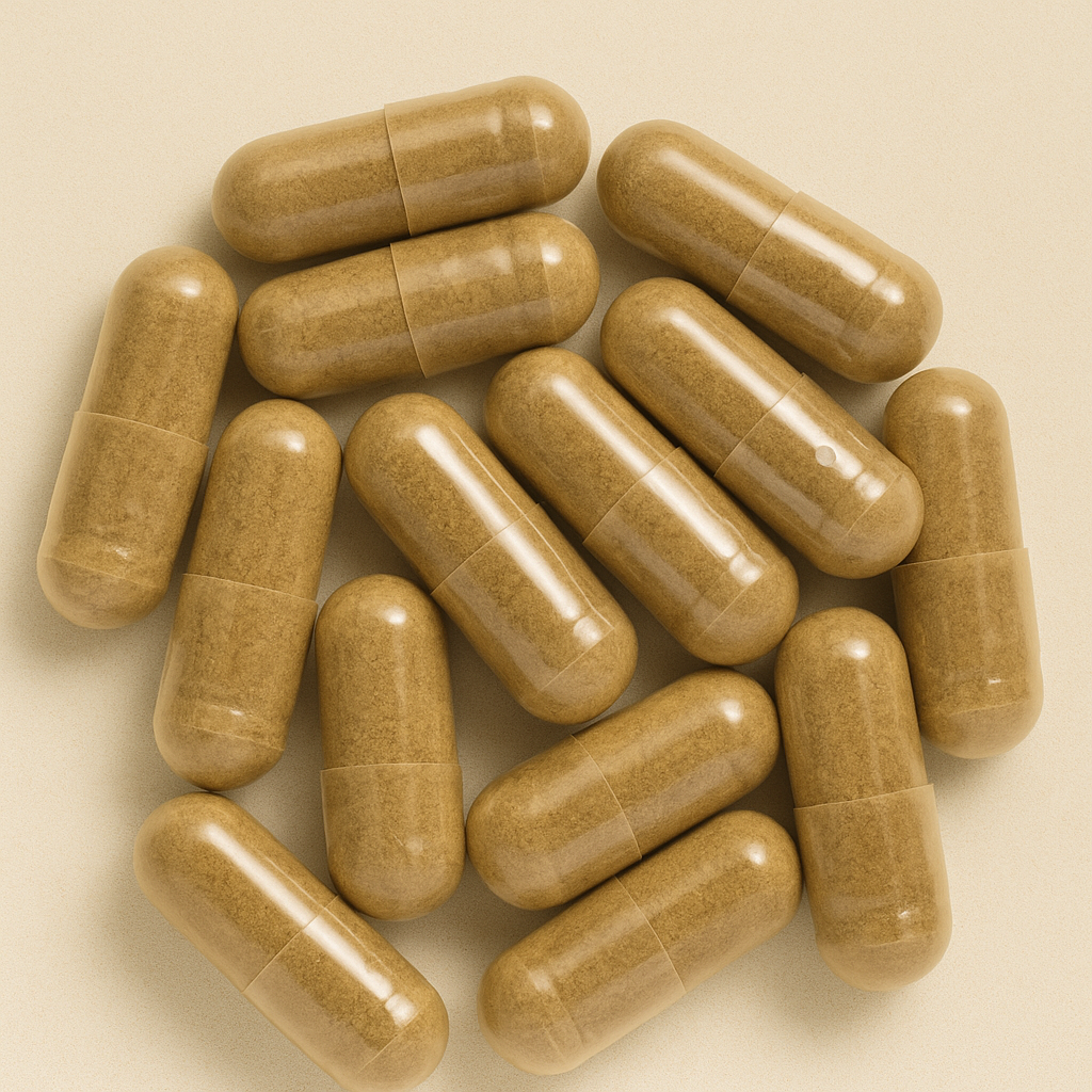 Reishi Capsules – 60 stuks